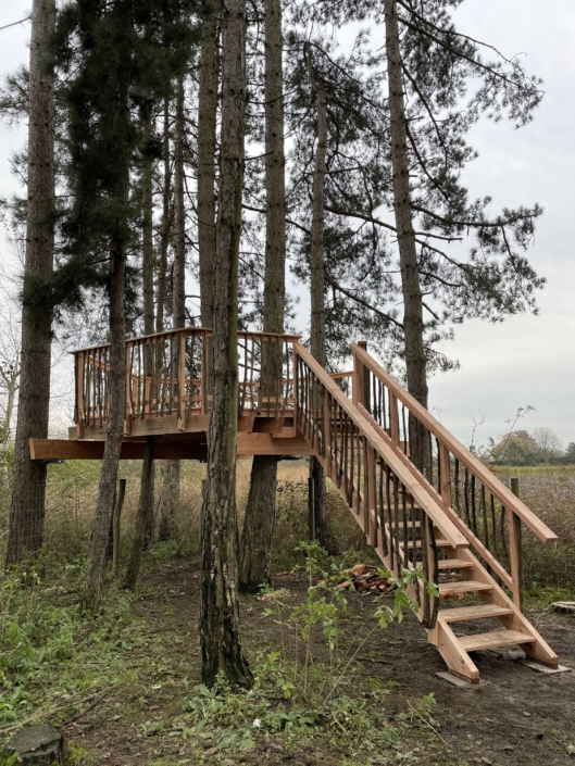 MijnBoomhut-BoomhutAlffar-7