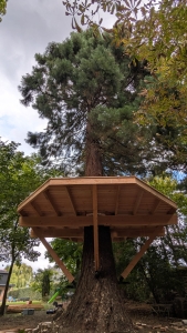 MijnBoomhut - Boksboom 5