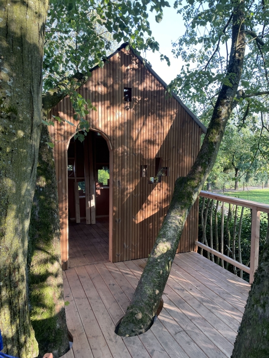 MijnBoomhut – Jeugddroom 8